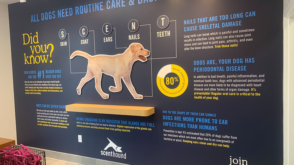 Digitally printed graphics at Scenthound Grooming in Austin, TX
